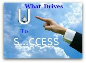 What Drives YOU to Success?